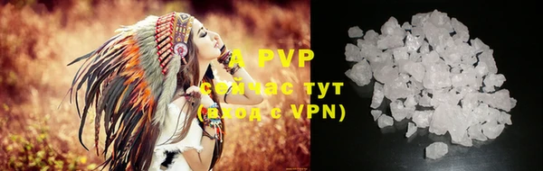 mdpv Вяземский